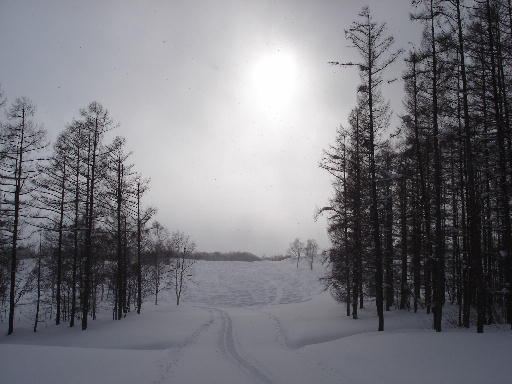 niseko