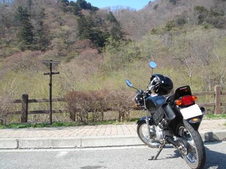 いろは坂登り前.JPG