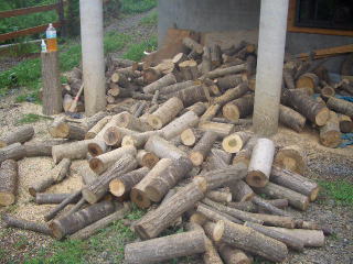 tamagiri1.jpg