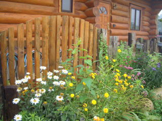 flower0607_2.jpg
