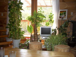 green_living2.jpg