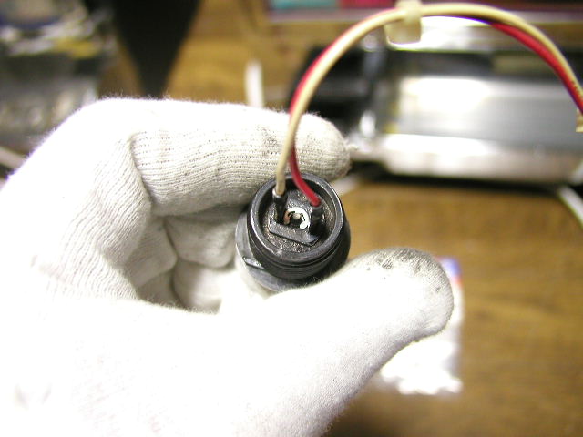 7705.JPG