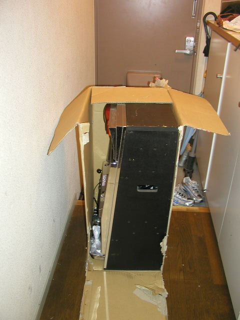 7302.JPG