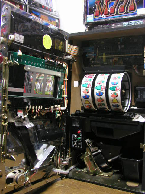 7304.JPG