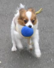 Run.jpg