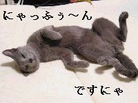 きしょくエエ～（オスカー）