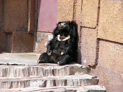 SANY0633-2.jpg