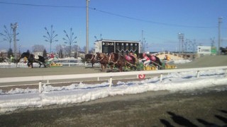201101021316001.jpg