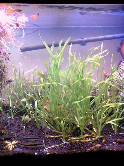90Tank Center