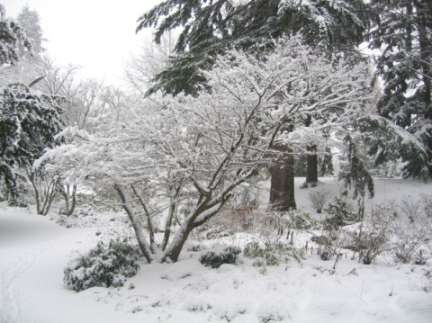 Winter 07 - 08 133 Medium Web view.jpg