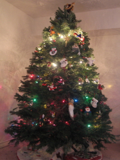 xmas tree - 06.JPG