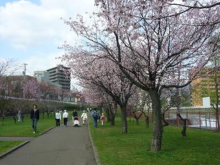 公園