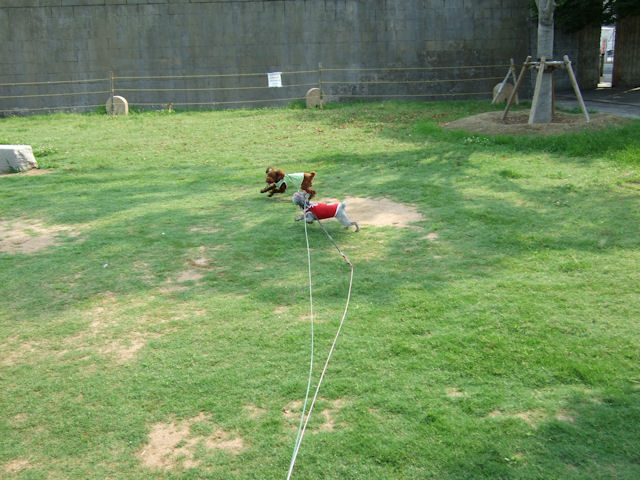 公園3