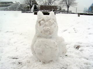 080203totoro1.jpg