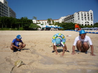 080805alivilla21.jpg