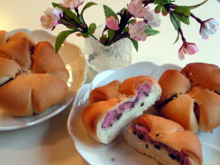 080310sakura1.jpg