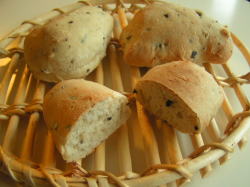 071008olive1.jpg
