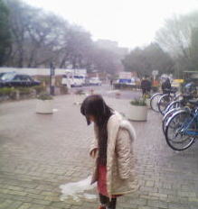 20080206100400011.jpg