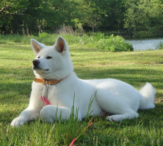 DSC02246.JPG
