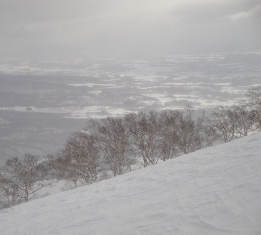 100207 004.JPG