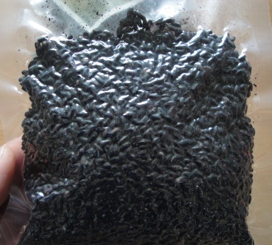 100508 006.JPG