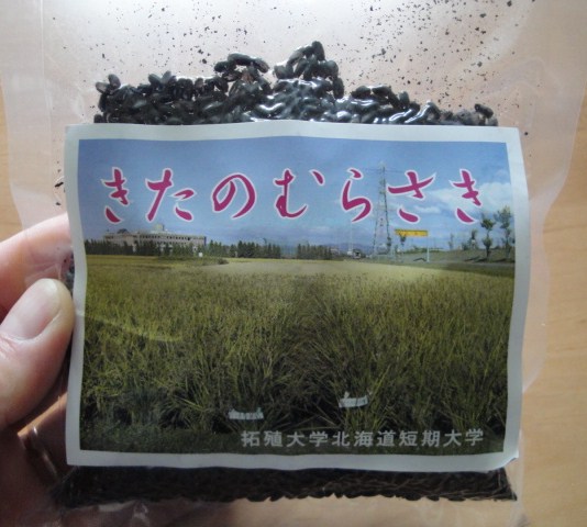 100508 004.JPG