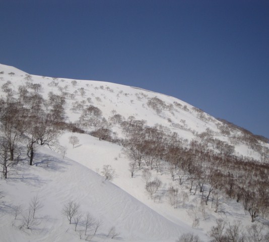 100404 022.JPG