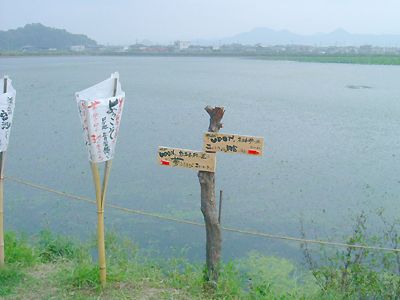 michisirube