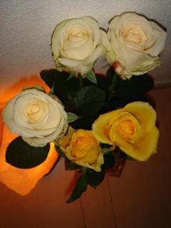 薔薇