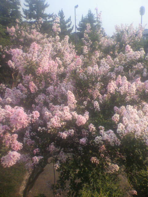 P1002506.JPG