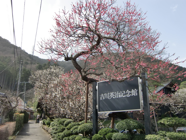 CIMG0510.JPG