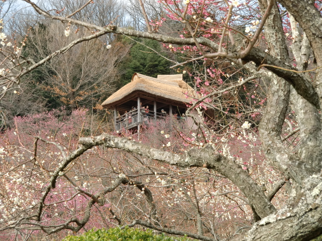 CIMG0473.JPG