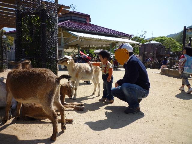 こども動物園