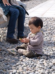 PA254310.jpg