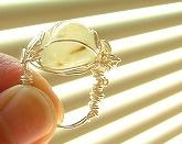 2007_0806画像0238.jpg