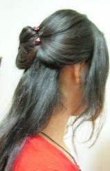 着画・カメリアＵピン