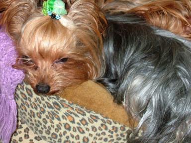 ね、眠い・・・