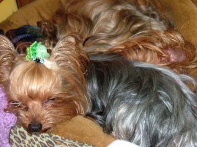 おやすみなさい＆奥にはリリィ