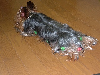 夏の夜に。(笑)