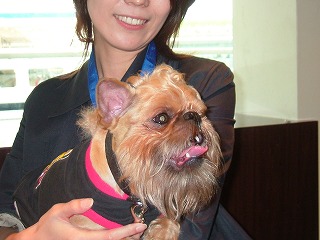 伝（でん）くん