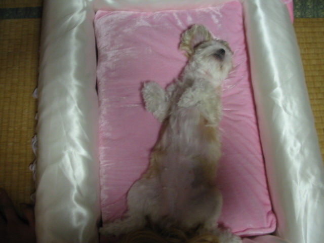 画像 050.jpg
