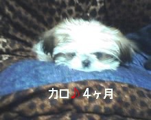 画像 173.jpg