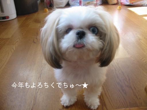 画像 294.jpg