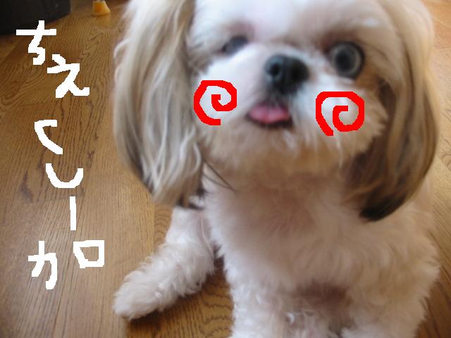 画像 301.jpg