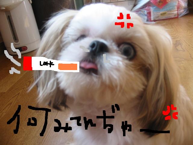 画像 303.jpg