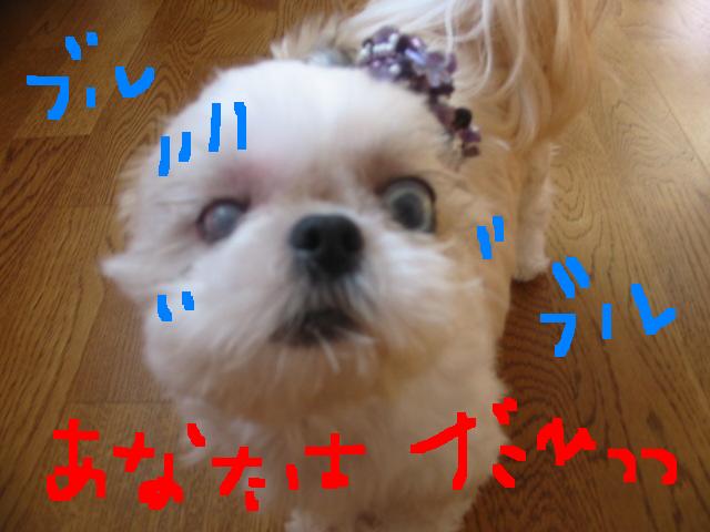 画像 305.jpg