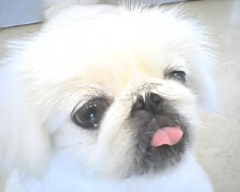 画像 011.jpg