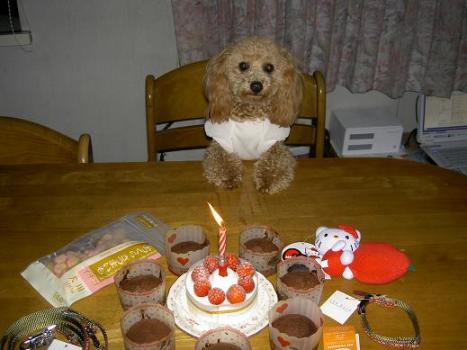 クリスちゃん☆お誕生日☆おめでとう♪ 4