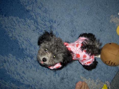 09.04.21 遊びに夢中 5