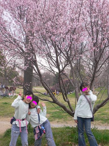 鶴見緑地の桜と娘たち